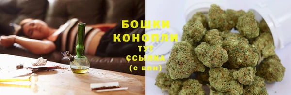 ПСИЛОЦИБИНОВЫЕ ГРИБЫ Белокуриха