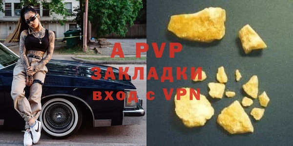 ПСИЛОЦИБИНОВЫЕ ГРИБЫ Белокуриха