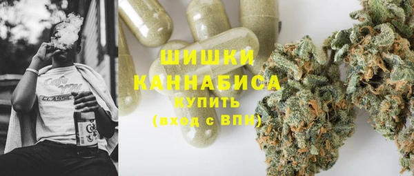 ПСИЛОЦИБИНОВЫЕ ГРИБЫ Белокуриха