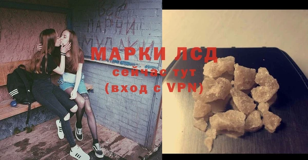 ПСИЛОЦИБИНОВЫЕ ГРИБЫ Белокуриха