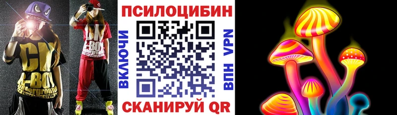 хочу   Колпашево  Галлюциногенные грибы Psilocybine cubensis 